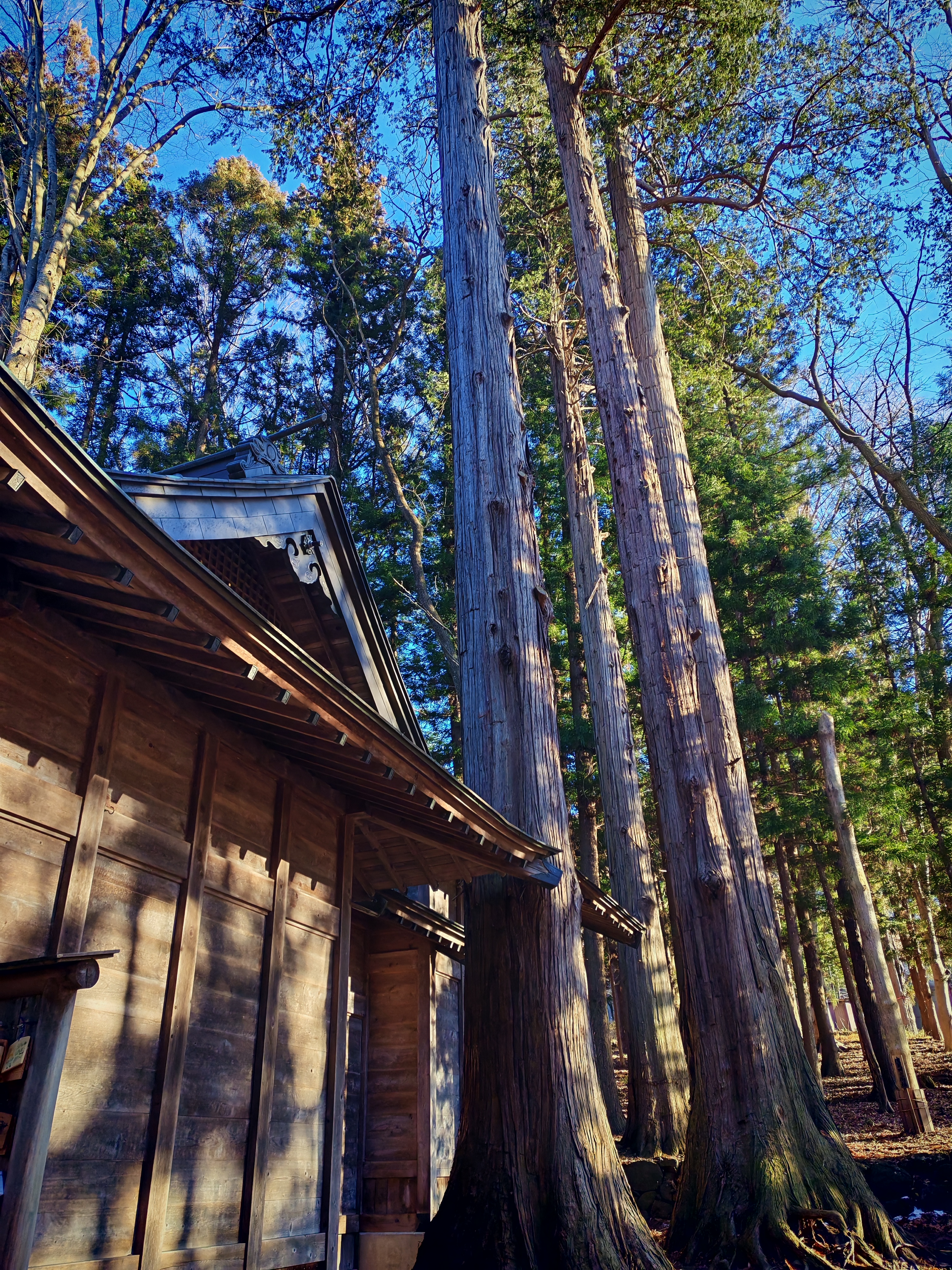 诹访圣地巡礼图片 45